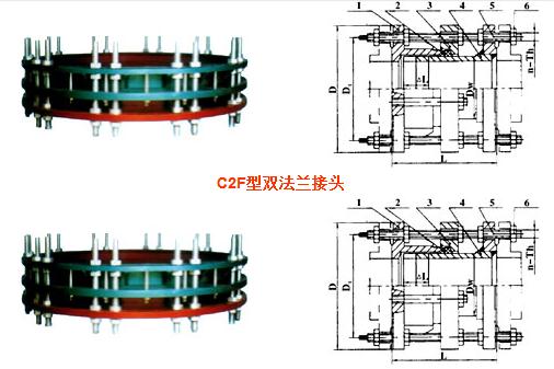 C2F�p���m�������^